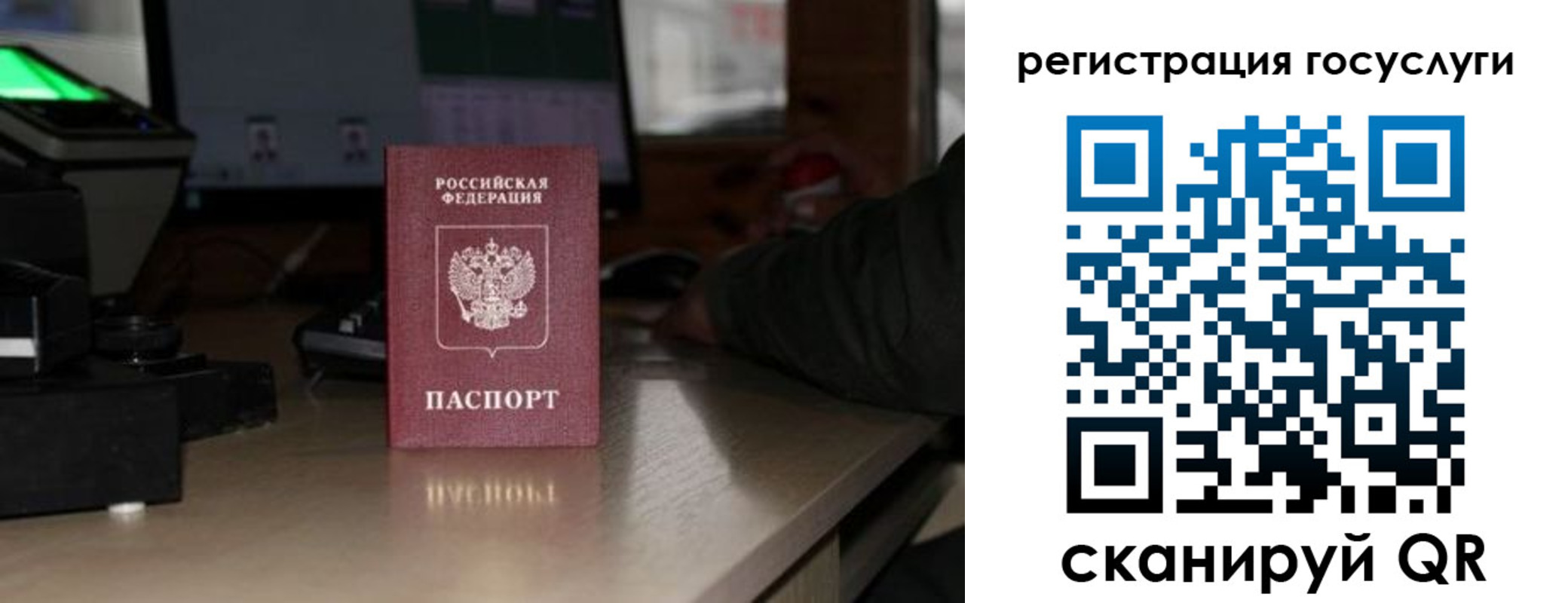 прописка законно в Ростове
